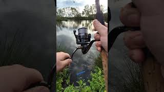 Metoda perfectă de nădire pe o un lac sălbatic ✅️🔝👍 #fishing #carp #methodfeeder #pescuit #crap