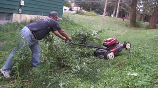 Greg Zanis Got A Free Toro Lawn Mower From Craigslist and Cutting The Long Greens
