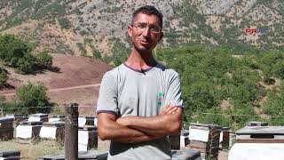 20 Yıldır Arıcılık Yapıyor Arıcılık Devletin Desteklemesi Gereken Bir Sektör