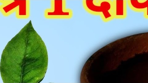 28 दिसंबर शनिवार त्रयोदशी तिथि की रात 1 दीपक लौंग वाला ये उपाय होगी हर||PardeepJiMishra