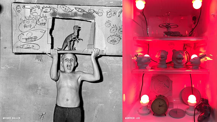 ZODIAC: In conversation with Roger Ballen & Andrew...