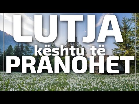 Video: Si Ndihmon Lutja