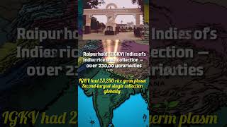 World&#39;s Top 3 Rice Germplasm Collections #ytshorts #shortvideo #facts #hindi #agriculture #world