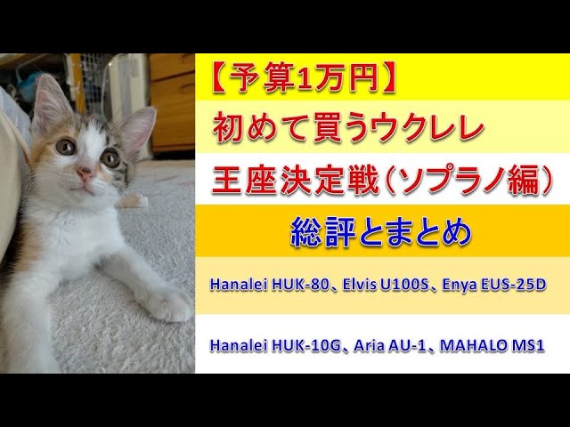 予算1万円】初めて買うウクレレ王座決定戦（ソプラノ編）準々決勝第二 
