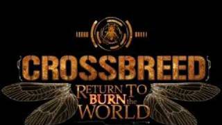 Watch Crossbreed Release Me video