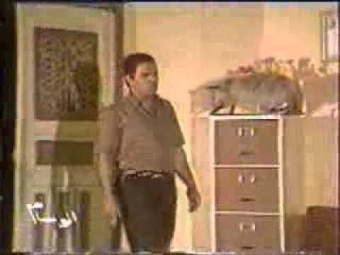 مقطع من مسرحية الف عافيه