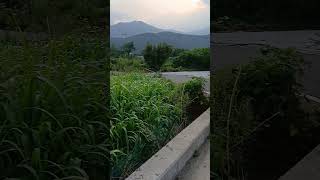 양산 도로변 창고부지,공장부지,근린사설 가능,,010-5530-2501전원공인(문의)