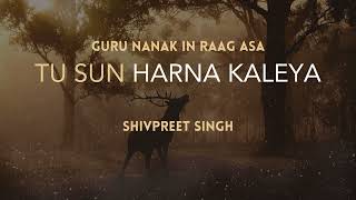 Tu Sun Harna Kaleya - Shivpreet Singh