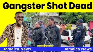 Jamaica News April 20 2024 | Professor Nuts | 1 Shot Dead | Paula Llewellyn | Shotta Arrested &..