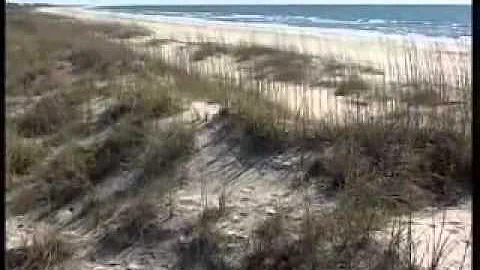 Georgetown County Chamber of Commerce