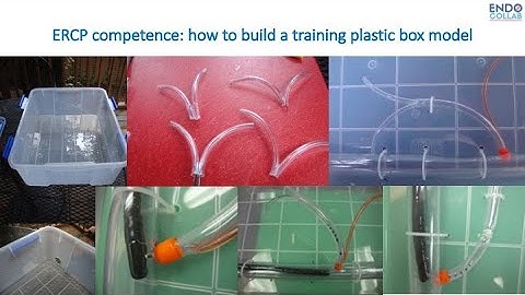 ERCP: competence and quality, a practical approach