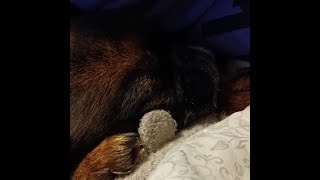 👾Утрений стрим 👻Стрим 👽 Общаемся! Играю на Lolgame 🍀 Развлекаемся 👾 Отдыхаем и играем🤖