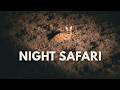 Night Safari Secrets of the Karoo | Mountain Zebra National Park | Ep. 2