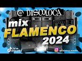 Mix flamenco 2024  dj discoloca  rumba pop  flamenkito  bulera  rumbatn  flamenco salsero