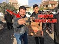 Tavuk Pazarına Civciv Götürdüm Takipcimize Hediye Ettim