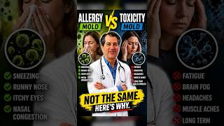 Mold Allergies vs. Mold Toxicity: What Is the Difference?