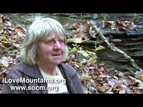 Eagan, TN: Digging wild herbs in the Appalachian mountains