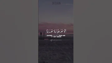 ان الذين قالوا ربنا الله ثم استقاموا تتنزل عليهم الملائكة ماهر المعيقلي 