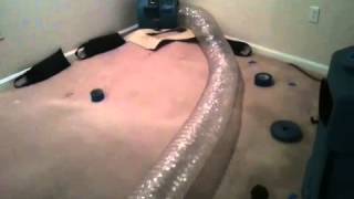 Dry Out Wet Carpet, Westford, Ma, Chelmsford, Ma