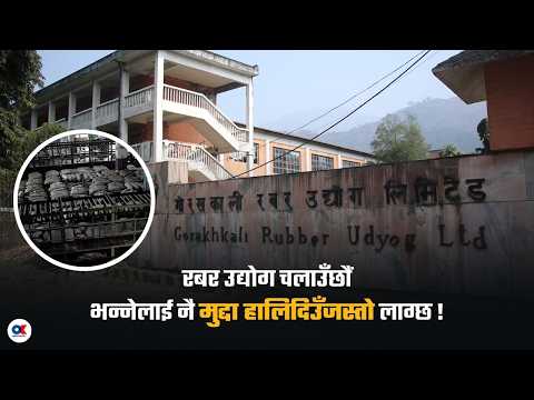 'रबर उद्योग चलाउँछौं भन्नेलाई नै मुद्दा हालिदिउँजस्तो लाग्छ' ! | Gorakhkali Rubber Industry