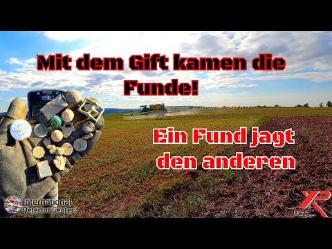 Ich wurde gedüngt beim Sondeln❗️😅 Signal an Signal beim Sondeln mit XP Deus2 Metaldetecting