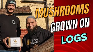Growing Shitake Mushrooms On Logs At Home