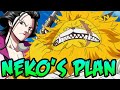 When Will Nekomamushi Arrive? Who Will He Bring? - One Piece Discussion | Tekking101