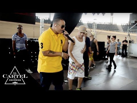 Video: Scatti Al Concerto Di Daddy Yankee
