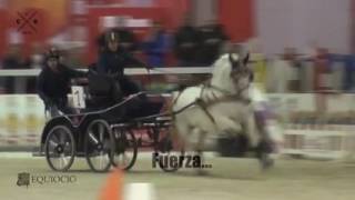 Carruajes Galicia 2016