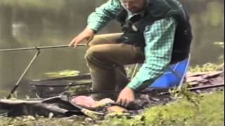 Go Fishing - John Wilson - Carp in the Lilies