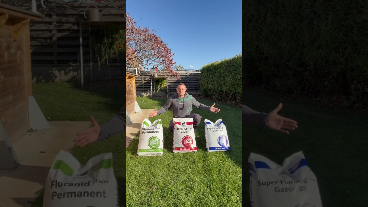 Quels engrais choisir pour sa pelouse ?