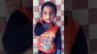 Jhukega Nahi Sala Video