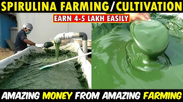 How To Start Spirulina Farming Business | Home Based Business Ideas