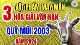 Top những vật phẩm phong thủy đem lại may mắn tốt nhất cho tuổi Quý Mùi 2003 năm giáp thìn 2024