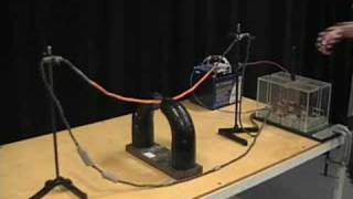 MIT Physics Demo -- Jumping Wire