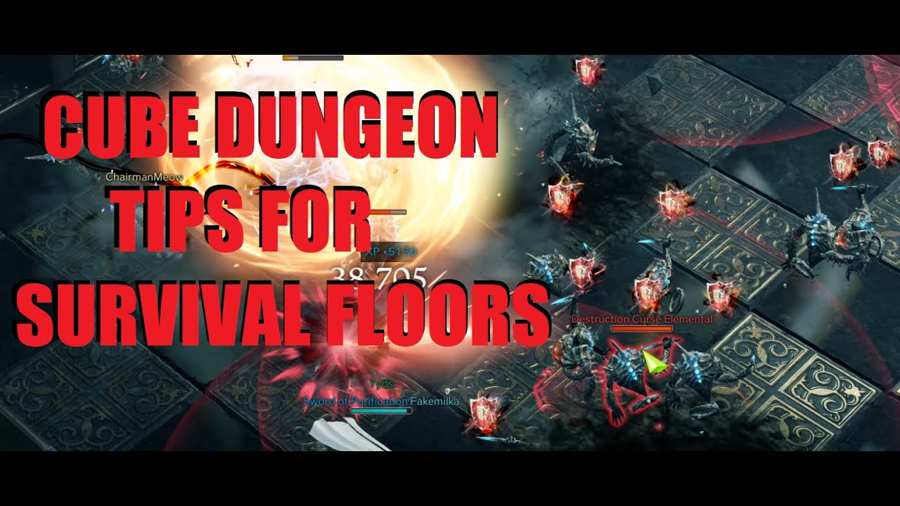 Lost Ark tips for cube dungeon survival floors