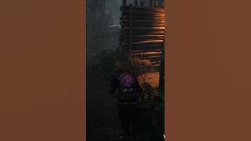 Pallet stun gone wrong!