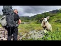 Trekking 2023 - Südnorwegen: Setesdal / Sirdalsheiane - um den Rosskreppfjorden