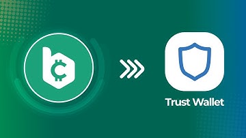 A Step-by-Step Guide: Adding BCD to Trust Wallet for Easy Crypto Management