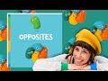 Opposites Read Aloud & Action Song for Kids | StoryTime with Bri Reads