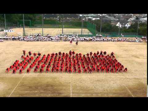 親和女子高等学校 2014体育祭 民謡 溢魂 Now Or Never Youtube 親和女子高等学校 2014体育祭 民謡 溢魂 Now Or Never Youtube
