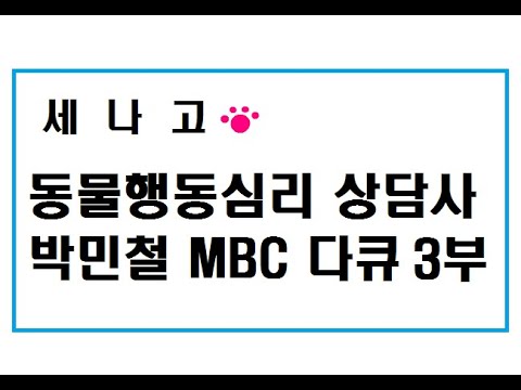 고양이행동교정,고양이행동분석,고양이박사,강아지행동교정,원펫