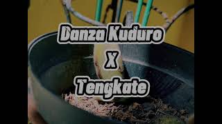 DJ DANZA KUDURO X TENGKATE REMIX TERBARU FULL BASS VIRAL TIKTOK 2021
