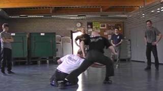 systema Belgium 2008.mpg