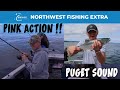 Jigging and Trolling for Pink Salmon in Puget Sound - Extended Cut
