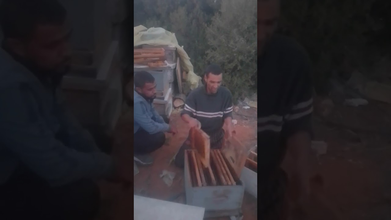 كيفية رفع العسالة