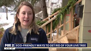 Don't throw your Christmas Tree out!