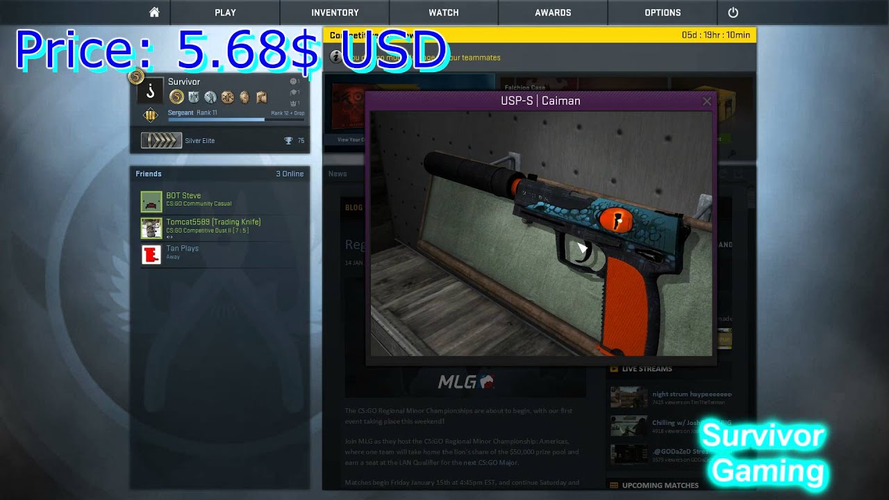 Csgo Skinz - Cheapest 5 USP-S Skins - YouTube