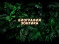 Биография зонтика Смешарики Аудио сказка Биография зонтика Смешарики Аудио сказка