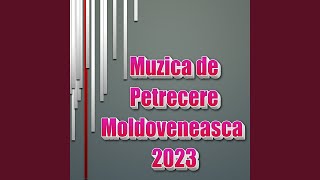 Muzica De Petrecere Moldoveneasca Colaj 2022